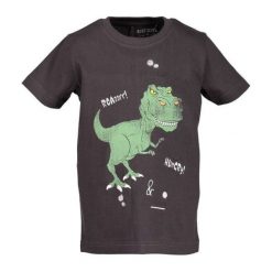 Blue Seven Koszulka Chłopięca Z Dinozaurem 98 Brązowy. T-shirty dla chłopców marki Blue Seven. Za 39.00 zł.