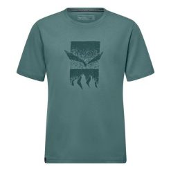 T-shirt Salewa Eagle 3cime. Zielone t-shirty męskie Salewa, s, bez wzorów, z bawełny, klasyczne, bez kołnierzyka. Za 232.00 zł.