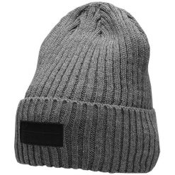 Czapka męska 4F średni. Szare czapki i kapelusze męskie 4f, na jesień, bez wzorów, z materiału, sportowe. Za 47.99 zł.