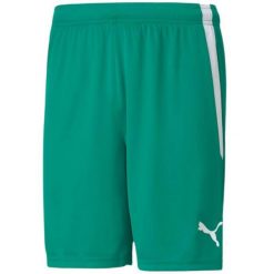 Męskie Spodenki TeamLIGA. Zielone krótkie spodenki sportowe męskie Puma, m, bez wzorów, trekkingowe. Za 110.99 zł.