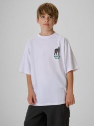 4F T-shirt regular z nadrukiem chłopięcy - biały 134/140 (8-10 lat). Białe t-shirty dla chłopców 4f, bez wzorów, z bawełny, bez ramiączek. Za 59.99 zł.