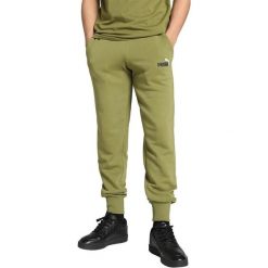 Spodnie Puma ESS 2 Col Logo Pants TR cl, Mężczyźni. Zielone spodnie materiałowe męskie Puma, m, bez wzorów, z bawełny. Za 290.00 zł.
