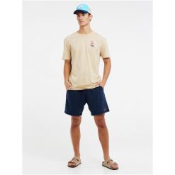 Koszulka męska Protest PRTVANUA t-shirt. Brązowe t-shirty męskie Protest, m, bez wzorów, bez kołnierzyka. Za 129.99 zł.