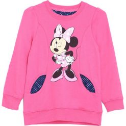 Fuksjowa Bluza Classy Toy. Fioletowe bluzy dla dziewczynek marki Born2be. Za 44.99 zł.