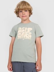 4F T-shirt regular z nadrukiem chłopięcy - oliwkowy 134 (8-9 lat). Brązowe t-shirty dla chłopców 4f, bez wzorów, bez ramiączek. W wyprzedaży za 29.99 zł.