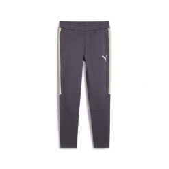 Męskie spodnie EVOSTRIPE PUMA Galactic Gray. Szare spodnie sportowe męskie Puma, m, bez wzorów, na fitness i siłownię. Za 198.99 zł.