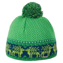 Czapka Kids Pampero zielona r. 54 (215340354). Czapki dla dzieci marki Viking. Za 99.90 zł.