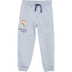 Jasnoszare Spodnie Dresowe Bast Chance. Szare spodnie sportowe dla chłopców Born2be, z dresówki. Za 49.99 zł.