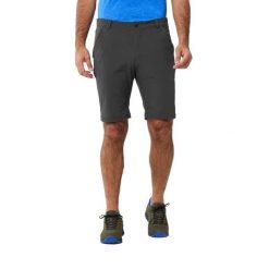 Szorty Lafuma Active. Szare krótkie spodenki sportowe męskie Lafuma, m, bez wzorów, z elastanu, trekkingowe. Za 358.00 zł.