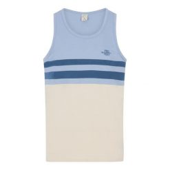 Tank top Protest Ipsa. Niebieskie t-shirty męskie Protest, na lato, l, bez wzorów, z materiału, wakacyjne, bez kołnierzyka. Za 134.50 zł.