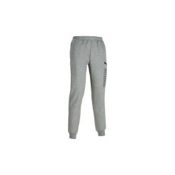 Spodnie dresowe Gym & Pilates męskie. Szare spodnie sportowe męskie Puma, m, bez wzorów, z bawełny, na jogę i pilates. Za 159.99 zł.