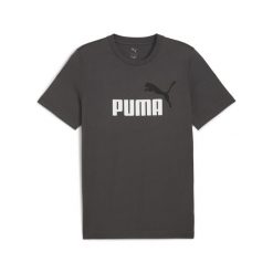 Męska koszulka Essentials z dwukolorowym logo No. 1 PUMA. Szare buty sportowe męskie Puma, z gumy, bez zapięcia, na fitness i siłownię. Za 99.00 zł.