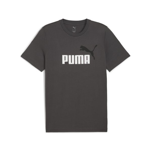 Męska koszulka Essentials z dwukolorowym logo No. 1 PUMA. Szare buty sportowe męskie Puma, z gumy, bez zapięcia, na fitness i siłownię. Za 99.00 zł.