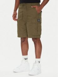 DC Szorty materiałowe Tundra ADYWS03086 Zielony Regular Fit. Zielone szorty męskie DC, l, bez wzorów, z bawełny. Za 239.99 zł.