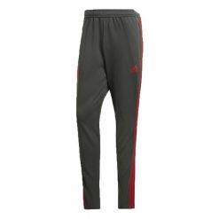 Spodnie sportowe Adidas FC Bayern Tr Pnt. Czerwone spodnie sportowe męskie Adidas, l, bez wzorów, z materiału, na fitness i siłownię. Za 118.00 zł.