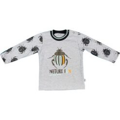 Mmdadak Koszulka Chłopięca Chrabąszcz 80 Szary. T-shirty dla chłopców marki Mmdadak. Za 33.00 zł.