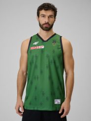 4F Koszulka meczowa replika wyjazdowa z sezonu 2025/26 męska 4F x Miasto Szkła Krosno - zielona L. Zielone t-shirty męskie 4f, l, bez wzorów, z dzianiny, bez kołnierzyka. Za 219.99 zł.