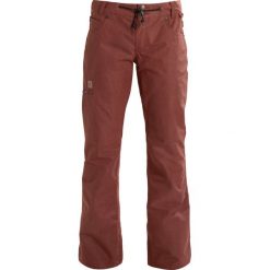 DC Shoes VIVA Spodnie narciarskie burnt henna. Spodnie snowboardowe damskie DC Shoes, z materiału, sportowe. W wyprzedaży za 639.20 zł.