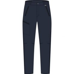 Pantalon Regatta Xert Stretch Z/O. Niebieskie spodnie sportowe męskie Regatta, na lato, bez wzorów, trekkingowe. W wyprzedaży za 349.99 zł.