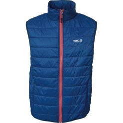 Kurtka puchowa Pro-X Elements Hasn. Niebieskie kurtki męskie PRO-X ELEMENTS, m, bez wzorów, z puchu, sportowe, bez kaptura. Za 379.00 zł.