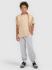 4F T-shirt regular gładki chłopięcy - beżowy 146 (10-11 lat). Brązowe t-shirty dla chłopców 4f, bez wzorów, z bawełny, bez ramiączek. Za 29.99 zł.