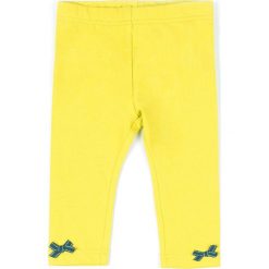 Coccodrillo - Legginsy dziecięce 62-80 cm. Spodnie materiałowe dla dziewczynek COCCODRILLO. Za 35.90 zł.