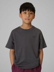 4F T-shirt regular gładki chłopięcy - szary 146 (10-11 lat). Szare t-shirty dla chłopców 4f, bez wzorów, z bawełny, bez ramiączek. Za 29.99 zł.