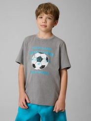 4F T-shirt regular z nadrukiem chłopięcy - szary 134 (8-9 lat). Szare t-shirty dla chłopców 4f, bez wzorów, z dzianiny, bez ramiączek. Za 59.99 zł.