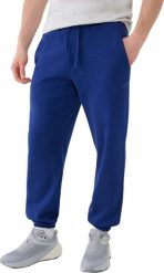 Spodnie męskie 4F CAS M1139 granatowe 4FWMM00TTROM1139 031S XL. Spodnie sportowe męskie 4f, m, bez wzorów. Za 170.18 zł.