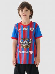 4F Koszulka klubowa domowa z sezonu 2024/25 chłopięca 4F x Piast Gliwice - multikolor 134/140 (8-10 lat). Czerwone t-shirty dla chłopców 4f, bez wzorów, z dzianiny, bez ramiączek. Za 239.99 zł.