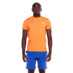 Koszulka na siłownia na czas wolny. Brązowe buty sportowe męskie LEONE 1947 APPAREL, bez wzorów, bez kołnierzyka, bez ramiączek, na fitness i siłownię. Za 84.16 zł.