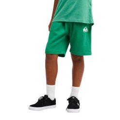 Spodenki z elastyczną talią dla Chłopcy EASY DAY Zielony. Zielone szorty dla chłopców Quiksilver, na lato, bez wzorów, z bawełny. Za 119.99 zł.