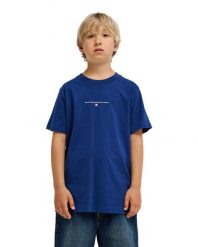 Koszulka z krótkim rękawem dla Chłopcy NO SKATEBOARDING Niebieski. Niebieskie t-shirty dla chłopców DC Shoes, bez wzorów, z bawełny, bez ramiączek. Za 109.99 zł.