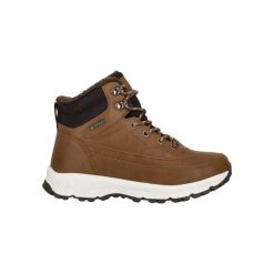 Buty zimowe Whistler Parrite. Brązowe trekkingi męskie Whistler, na zimę, trekkingowe. Za 340.00 zł.