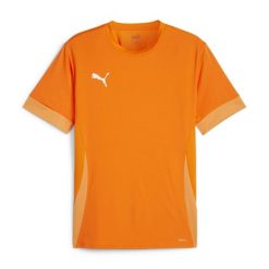 Koszulka męska PUMA T-shirt Bluzka Sportowa Treningowa DryCELL. Brązowe koszulki sportowe męskie Puma, m, bez wzorów, z jersey, sportowe, bez kołnierzyka. Za 80.99 zł.