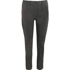 Damskie Spodnie Softshell Miura - Styl i Wygoda. Szare spodnie sportowe damskie ZSPORT, bez wzorów, z softshellu, trekkingowe. Za 263.99 zł.