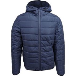 Kurtka męskie Diadora Light Core. Niebieskie kurtki męskie Diadora, m, bez wzorów, z poliesteru, sportowe, bez kaptura. Za 390.00 zł.