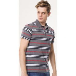 Szara Koszulka Limitable. Koszulki polo męskie marki Born2be. Za 49.99 zł.