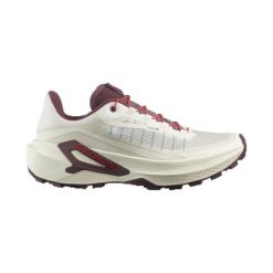 Obuwie Biegi w terenie Kobiety GENESIS 2. Szare obuwie sportowe damskie Salomon, bez wzorów, z materiału, do biegania. Za 649.00 zł.