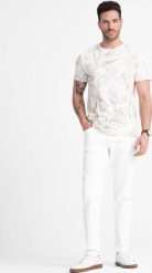 Ombre T-shirt męski fullprint w kontrastowe liście - jasnobeżowy V1 OM-TSFP-0180 XL. Brązowe t-shirty męskie Ombre, m, bez wzorów, bez kołnierzyka. Za 89.99 zł.
