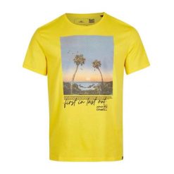 T-shirt męski O'Neill Loren z krótkim rękawem. Żółte t-shirty męskie O'Neill, m, bez wzorów, wakacyjne, bez kołnierzyka. Za 139.00 zł.