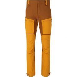 Pantalon Whistler Kodiak. Brązowe spodnie sportowe męskie Whistler, na lato, bez wzorów, trekkingowe. W wyprzedaży za 412.00 zł.