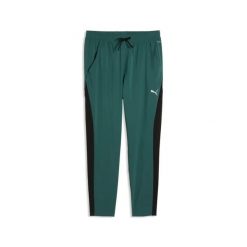 Spodnie treningowe Puma. Zielone spodnie sportowe męskie Puma, l, bez wzorów, z materiału, na fitness i siłownię. Za 256.00 zł.