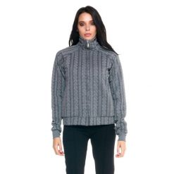 Damska bluza z golfem Leone zapinana na zamek błyskawiczny w kolorze szarym. Brązowe bluzy sportowe damskie LEONE 1947 APPAREL, l, bez wzorów, z tkaniny, bez kaptura, na fitness i siłownię. W wyprzedaży za 167.70 zł.