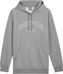 Bluza sportowa męska Puma Ess Logo LAB Gradient Hoodie FL. Szare bluzy męskie Puma, l, bez wzorów, z bawełny, z kapturem, na fitness i siłownię. Za 179.00 zł.