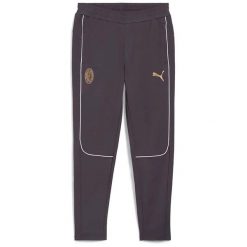 Spodnie Puma Acm Casuals Dorosłych. Szare spodnie sportowe męskie Puma, m, bez wzorów, z bawełny, na fitness i siłownię. Za 288.99 zł.