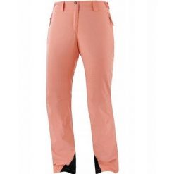 Spodnie zimowe na narty i snowboard damskie Salomon THE BRILLIANT. Brązowe spodnie materiałowe damskie Salomon, m, bez wzorów, z elastanu. Za 339.00 zł.