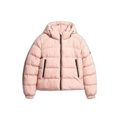 Damska kurtka z kapturem Superdry. Czerwone kurtki damskie Superdry., na zimę, xs, bez wzorów, z puchu, z kapturem. Za 552.90 zł.