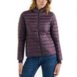 Kurtka Jott Model Cha Kolor Fioletowy. Fioletowe kurtki sportowe damskie jott, bez wzorów, z tkaniny, bez kaptura, trekkingowe. Za 382.99 zł.