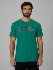 4F T-shirt regular z nadrukiem męski - zielony XL. Zielone t-shirty męskie 4f, m, bez wzorów, z bawełny, sportowe, bez kołnierzyka. Za 69.99 zł.